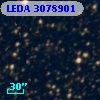 LEDA 3078901