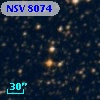 NSV  8074