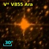 V* V855 Ara