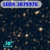 LEDA 3078976