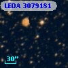 LEDA 3079181
