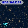 LEDA 3079275