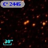 C* 2445