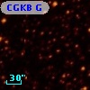 CGKB G