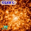 CGKB C