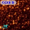 CGKB D