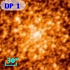 DP 1
