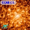 CGKB C1