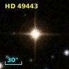 HD  49443