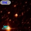 TYC 8733-242-1