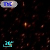 TYC 8733-393-1