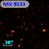 NSV  9533