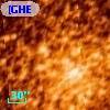 [GHE2001b] U41