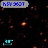 NSV  9837