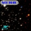 NSV  9849