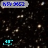 NSV  9852