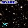 NSV  9936