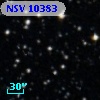 NSV 10383