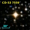 CD-53  7559