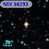 NSV 10293