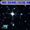 IDS 18445-5536 AB