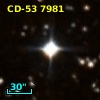 CD-53  7981