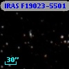 IRAS F19023-5501