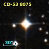2MASS J19161096-5328100