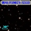 IRAS F19023-5313