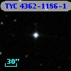 TYC 4362-1186-1