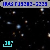 IRAS F19202-5228