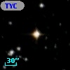 TYC 8401-878-1