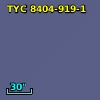 TYC 8404-919-1