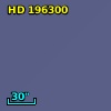 HD 196300