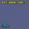 TYC 8408-1081-1