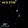 ACO  3736