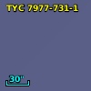 TYC 7977-731-1