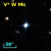 V* W Mic