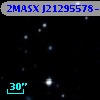 2MASX J21295578-4120460
