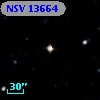 NSV 13664