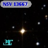 NSV 13667