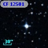 CF 12501