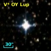V* OY Lup