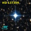 HD 137309