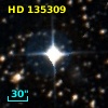 HD 135309