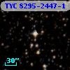 TYC 8295-2447-1