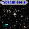 TYC 8295-954-1