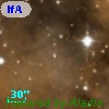 IfAHA 156