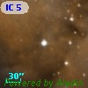 IC 5146   53