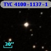 TYC 4100-1137-1